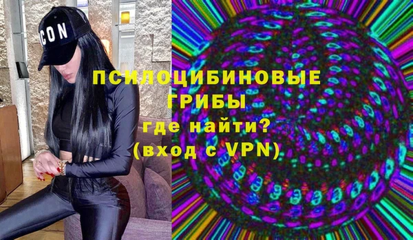 ГАЛЛЮЦИНОГЕННЫЕ ГРИБЫ Краснослободск