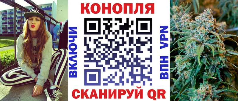 Купить  Любим  Марихуана AK-47 